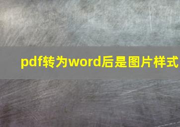 pdf转为word后是图片样式