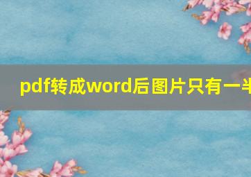 pdf转成word后图片只有一半