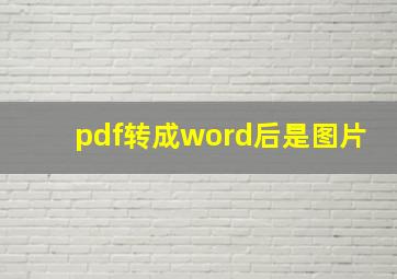 pdf转成word后是图片