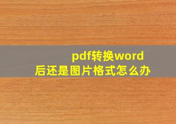 pdf转换word后还是图片格式怎么办