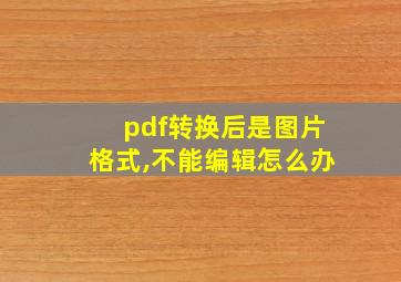 pdf转换后是图片格式,不能编辑怎么办