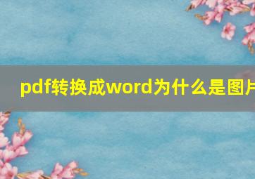 pdf转换成word为什么是图片