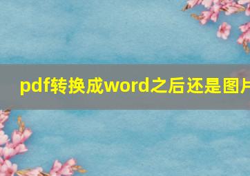 pdf转换成word之后还是图片