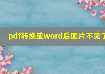 pdf转换成word后图片不见了