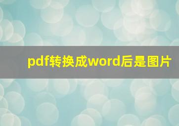 pdf转换成word后是图片