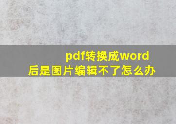 pdf转换成word后是图片编辑不了怎么办