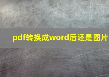 pdf转换成word后还是图片