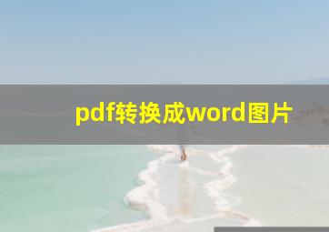 pdf转换成word图片