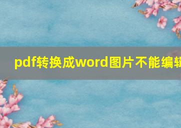 pdf转换成word图片不能编辑