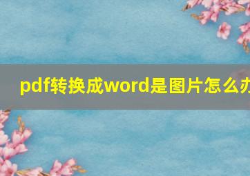 pdf转换成word是图片怎么办