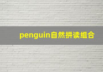 penguin自然拼读组合