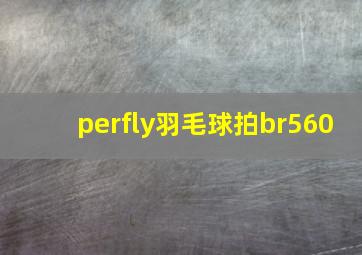 perfly羽毛球拍br560