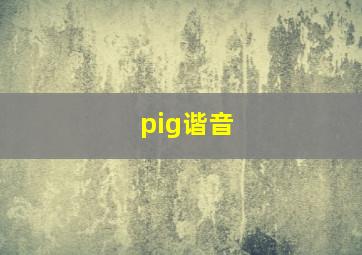 pig谐音