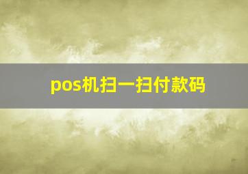 pos机扫一扫付款码