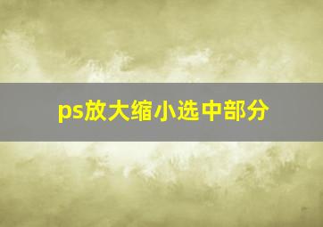 ps放大缩小选中部分