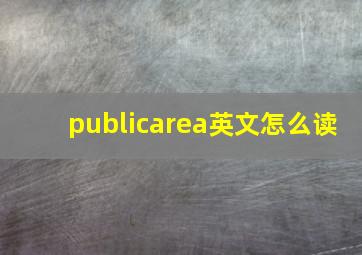 publicarea英文怎么读