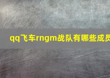 qq飞车rngm战队有哪些成员