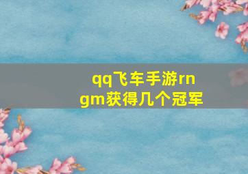 qq飞车手游rngm获得几个冠军