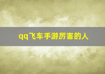 qq飞车手游厉害的人