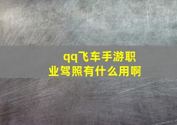 qq飞车手游职业驾照有什么用啊