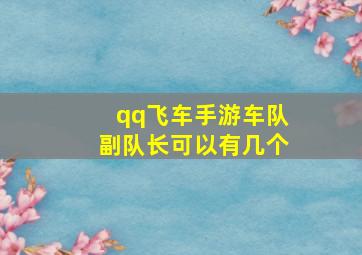 qq飞车手游车队副队长可以有几个