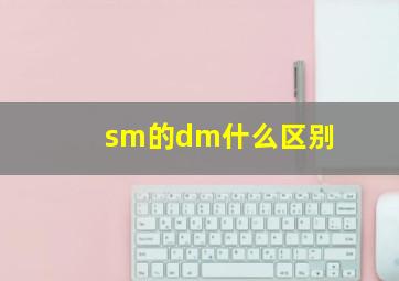 sm的dm什么区别