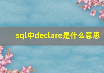 sql中declare是什么意思