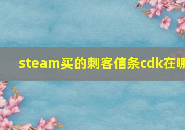 steam买的刺客信条cdk在哪