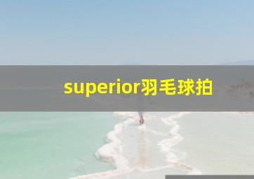 superior羽毛球拍