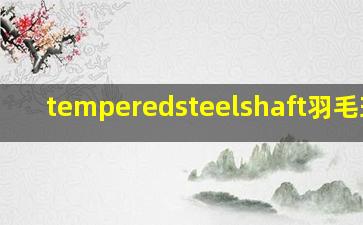 temperedsteelshaft羽毛球拍