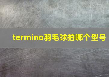 termino羽毛球拍哪个型号