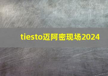 tiesto迈阿密现场2024