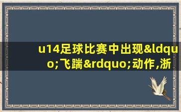 u14足球比赛中出现“飞踹”动作,浙江足协回应