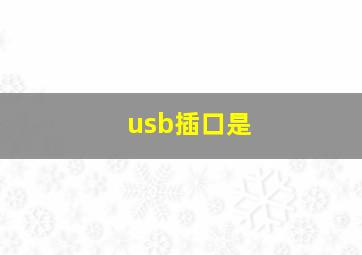 usb插口是