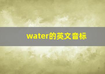 water的英文音标