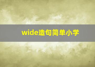 wide造句简单小学