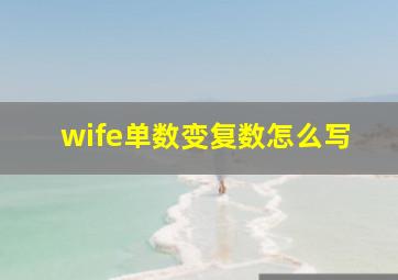 wife单数变复数怎么写