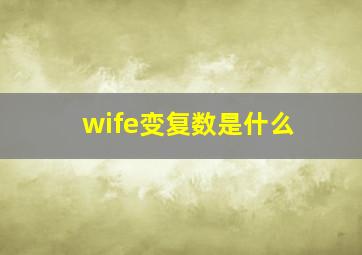 wife变复数是什么