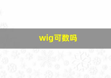 wig可数吗