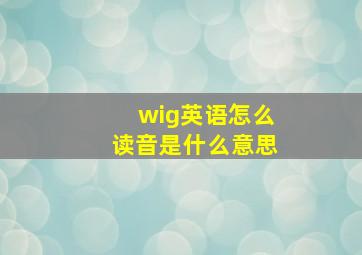 wig英语怎么读音是什么意思