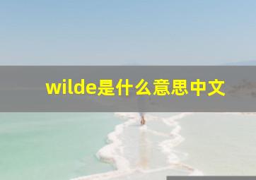 wilde是什么意思中文