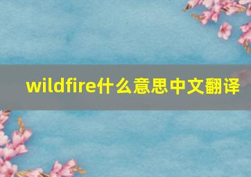 wildfire什么意思中文翻译