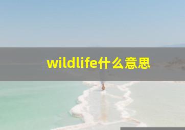 wildlife什么意思