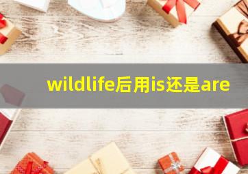 wildlife后用is还是are