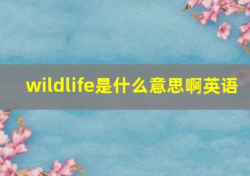 wildlife是什么意思啊英语