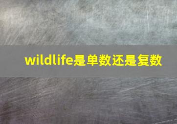 wildlife是单数还是复数