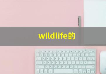 wildlife的