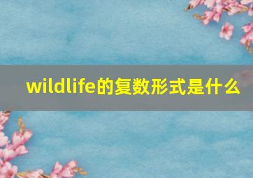 wildlife的复数形式是什么