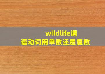 wildlife谓语动词用单数还是复数