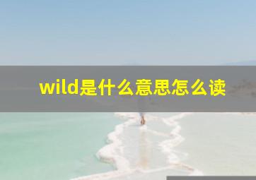 wild是什么意思怎么读